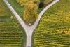 Inflation Hits a Fork in the Road