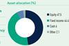 Iceland key pension data
