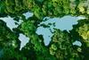 The Market Effect of Acute Biodiversity Risk- the Case of Brazilian Corporate Bonds
